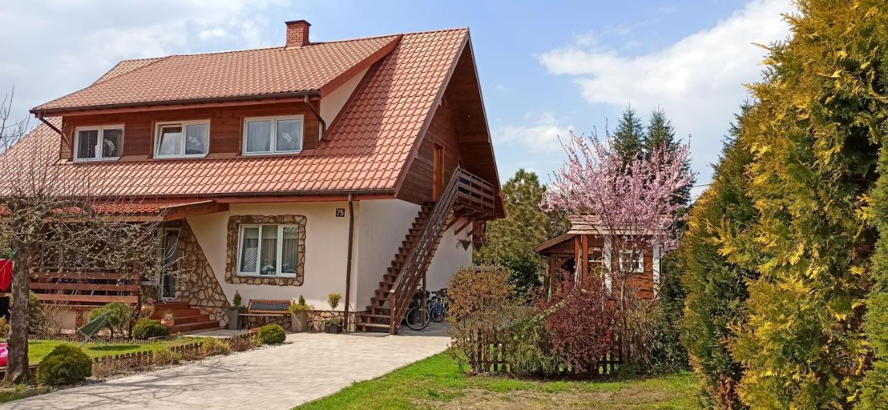 Rodzinny Zakatek "U Gluszkow" Bieszczady 米奇科夫采 外观 照片